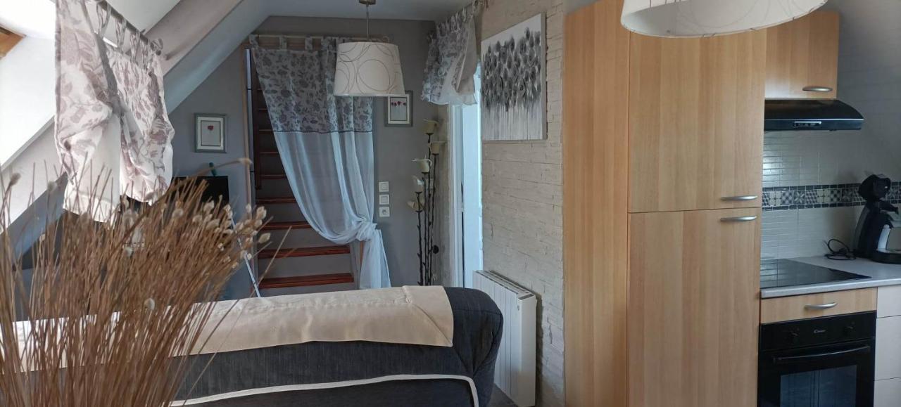 Le Cosy Apartman Lanvallay Kültér fotó